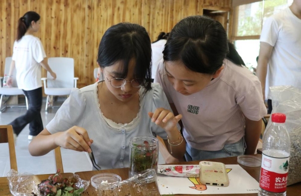 服务团成员引导小朋友亲手设计生态瓶布局。taptap点点体育供图